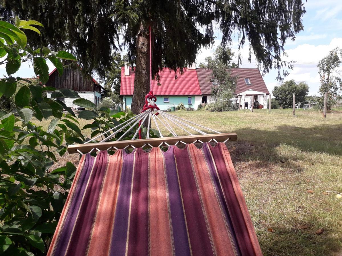 Apartamenty Nad Jeziorem Piaski 沃林 外观 照片